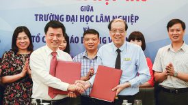 Lễ ký kết hợp tác giữa Trường Đại học Lâm nghiệp và Tổ chức giáo dục IIG Việt Nam